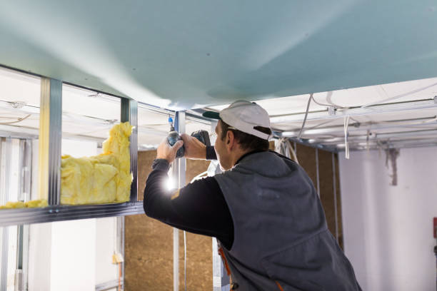Best Blown-in Insulation  in Leesville, LA