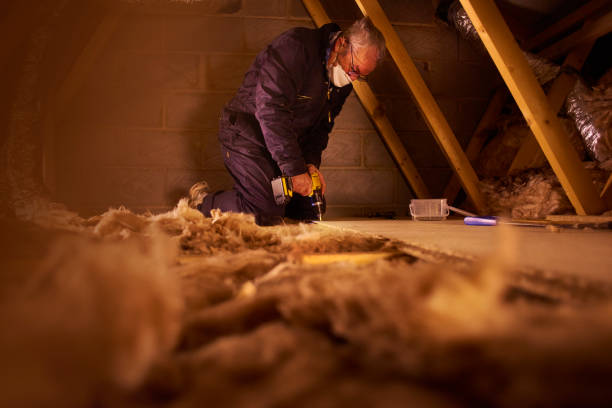 Best Wall Insulation Contractor  in Leesville, LA